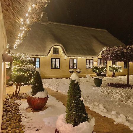 Апартаменты Mindedalen - Idyl Taet Pa Alt Og Helt I Fred Billum Экстерьер фото