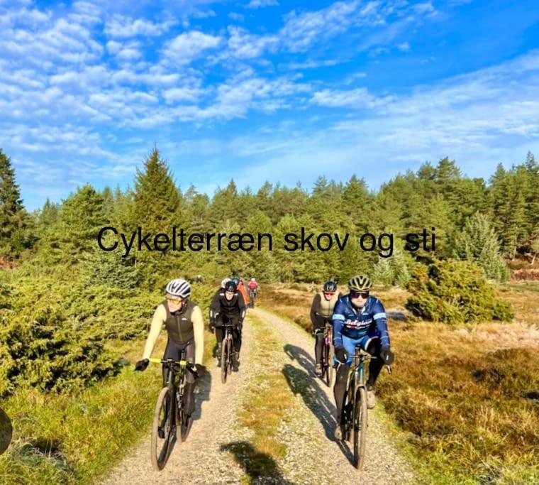 Апартаменты Mindedalen - Idyl Taet Pa Alt Og Helt I Fred Billum Экстерьер фото