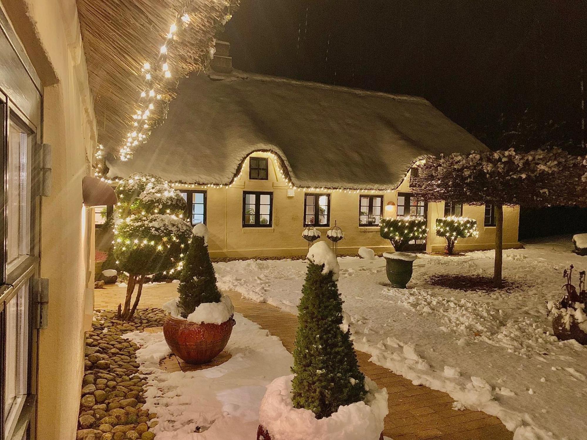 Апартаменты Mindedalen - Idyl Taet Pa Alt Og Helt I Fred Billum Экстерьер фото